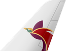 Logo of Air Niugini